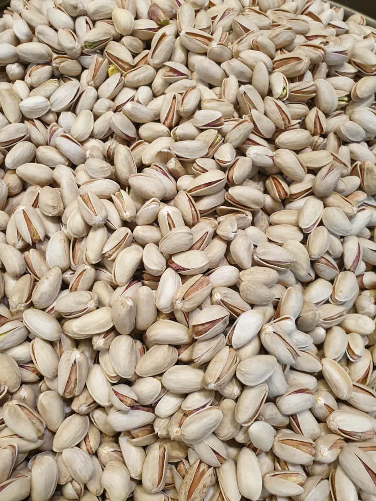 Naturally open organic Akbari pistachios supplied by Salari Farm