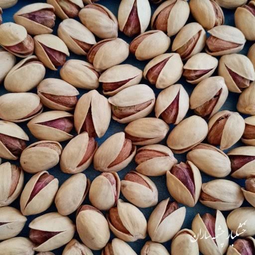 Naturally open organic Fandoghi pistachios supplied wholesale
